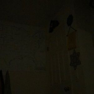 Meet your Posher, Anahita